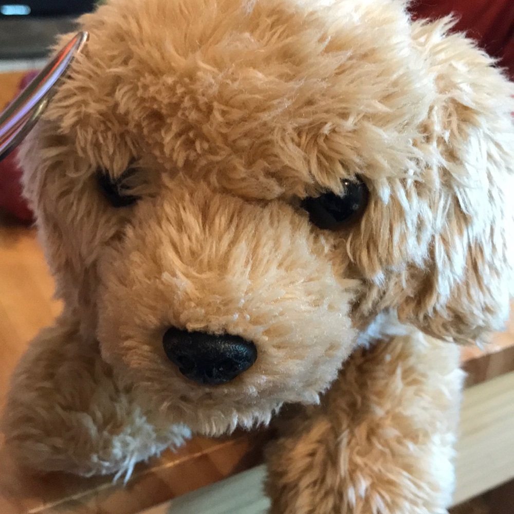 Meet your Posher, Joam